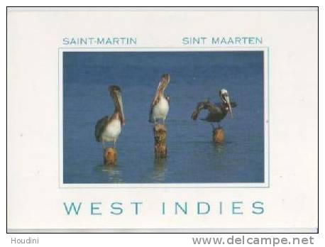 Saint Martin Sint Maarten West Indies - Sint-Marteen