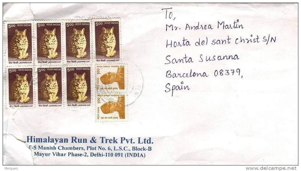 1599. Carta  De DELHI (India) Año 2000  A España. Gato, Chat, Cat - Lettres & Documents