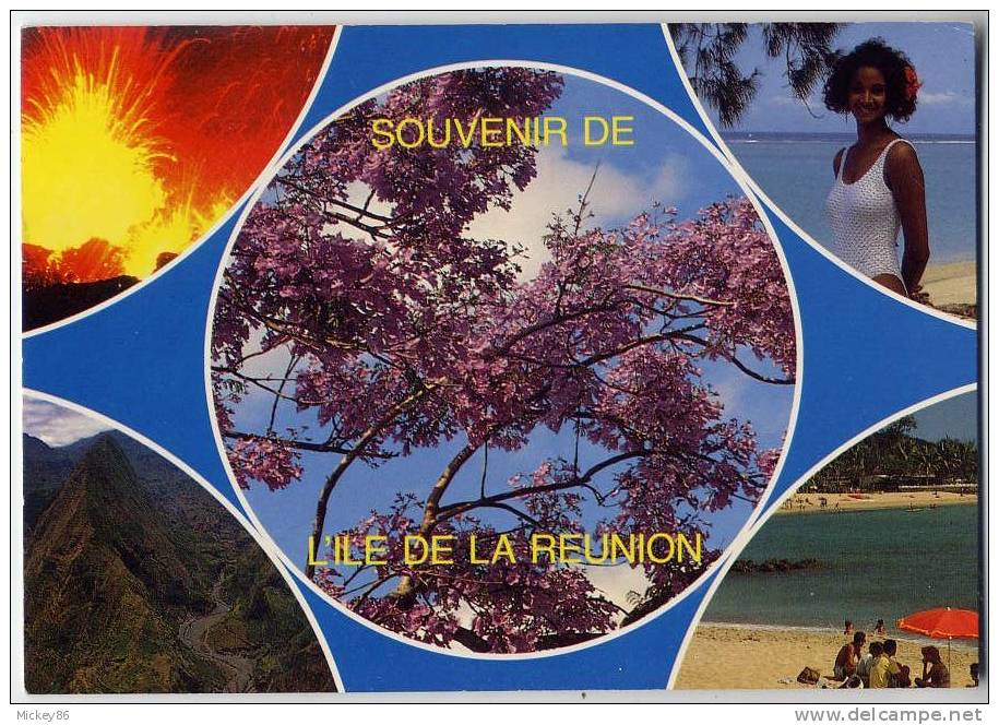 Réunion--1992--Souvenir De La Réunion, Vues Diverses,cm N° 1054 EDICARTES Coleete Beauget  Le Tampon - Autres & Non Classés