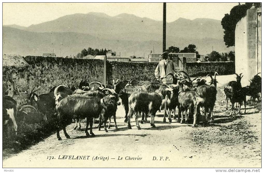 09 . ARIEGE . LAVELANET .  LE CHEVRIER . - Lavelanet