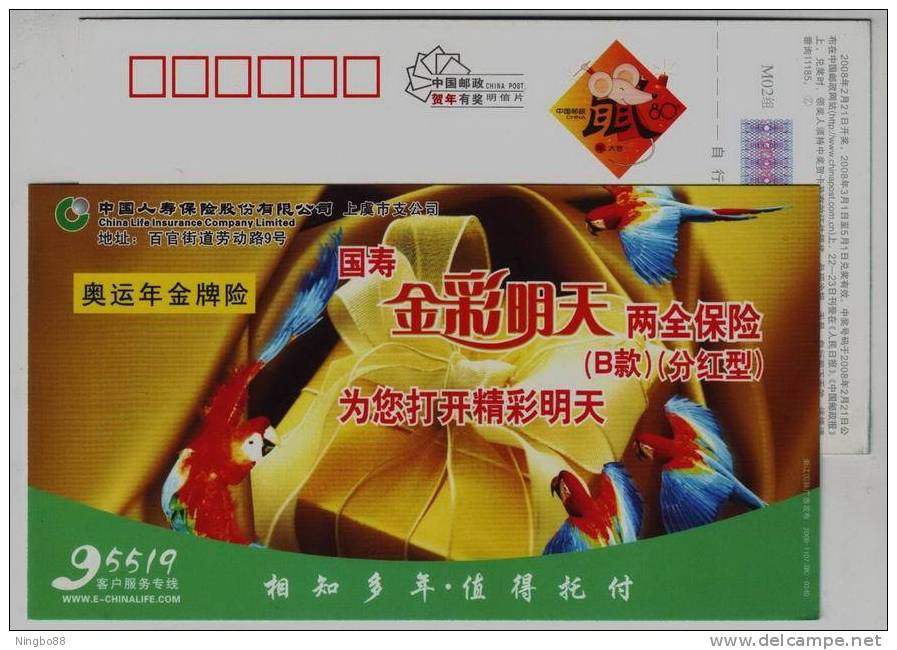 Parrot Bird,China 2008 China Life Insurance Company Shangyu Branch Advertising Pre-stamped Card - Perroquets & Tropicaux