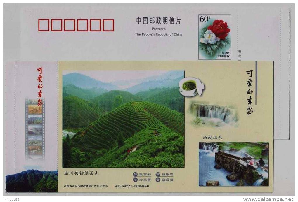 Gougunao Green Tea Mountain,teapot,China 2003 Ji'an Landscape Advertising Pre-stamped Card And Hot Spring Waterfall - Altri & Non Classificati