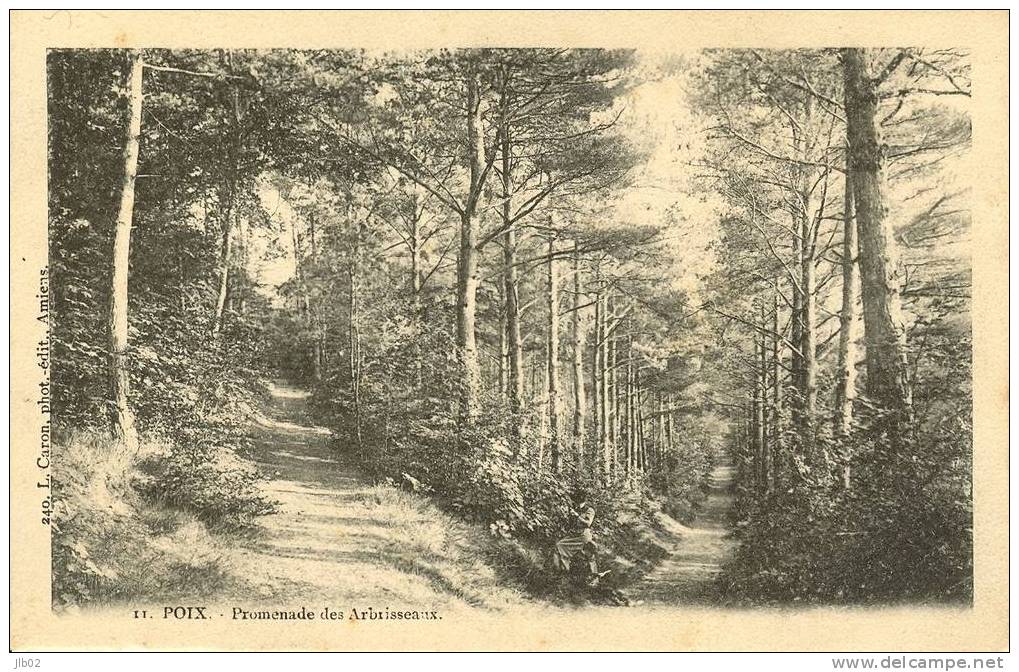 11 Poix - Promenade Des Arbrisseaux - Poix-de-Picardie