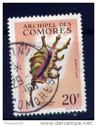 COMORES - N° 23  Oblitéré  - Coquillage Pterocera Scorpio - Belle Oblitération - Sonstige & Ohne Zuordnung