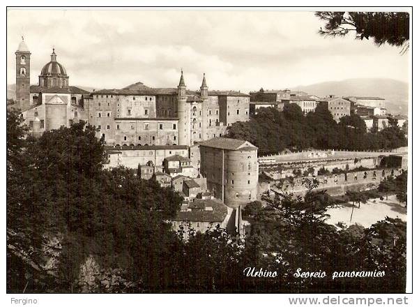3333/FG/08 - URBINO - Scorcio Panoramico - Urbino