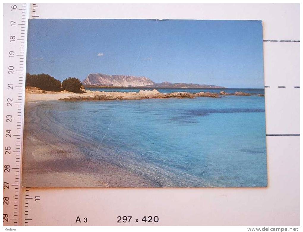 SAN TEODORO  VF  D24756 - Olbia