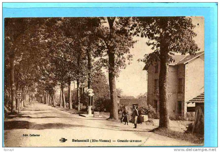 B - 87 - BOISSEUIL - Pompe à éssence - Autres & Non Classés