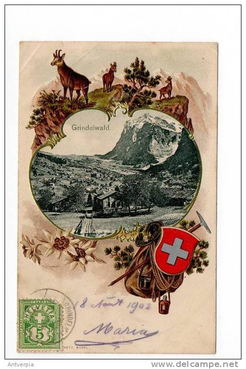 GRINDLWALD Reliefcard (  Very Nice Lithocard 1902) - Wald