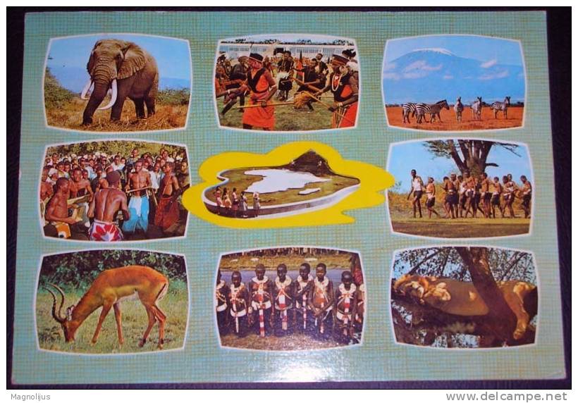 Africa,Kenya,Tribe,Folklore,Customs,Animals,Wild,Multipicture,postcard - Kenia