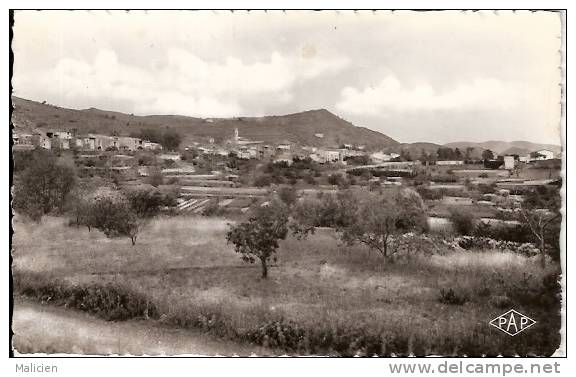 PYRENEES ORIENTALES- 66306- Sournia - Vue Generale  - Bon Etat - Sournia