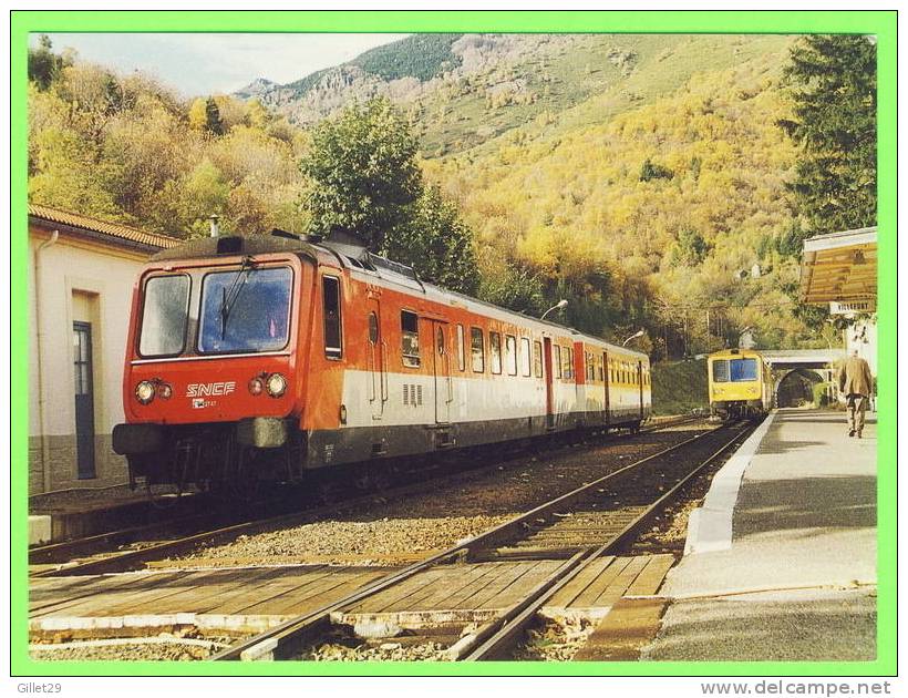 GARE DE VILLEFORT - CROISEMENT DE DEUX T.E.R. - X2747 ET X7729 - - Stazioni Con Treni