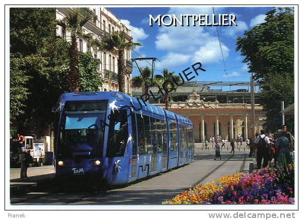 CP34135 - MONTPELLIER - Quartier De La Gare - Le Tramway - Ligne 1 - Montpellier