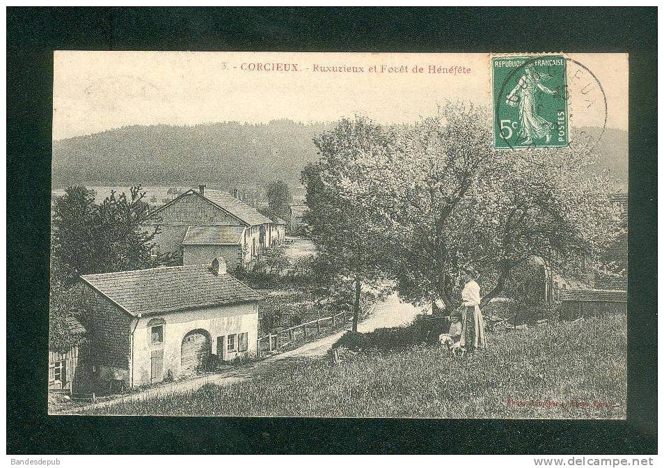 Corcieux (88) - Ruxurieux Et Forêt Du Hénéfête ( Hameau Animée Enfant Et Jouet Cheval éditeur Peu Lisible N°3) - Corcieux