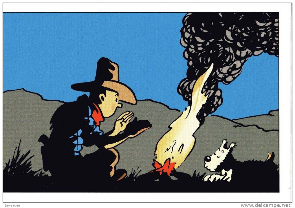 CARTE POSTALE - FRANCE - TINTIN - HERGE - COW BOY - AMERIQUE - FEU DE CAMP - Postkaarten