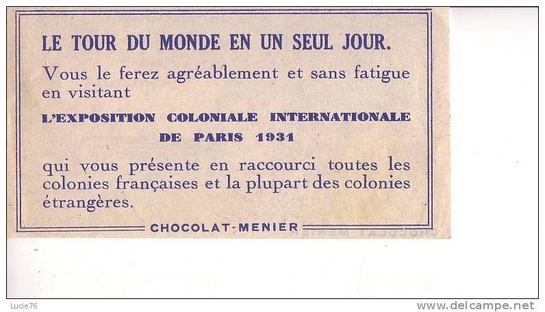 CHOCOLAT  MENIER  -  Visitez L´Exposition Coloniale -  La Féerique Végétation Des Pays Tropicaux - Image Coloriée - Autres & Non Classés