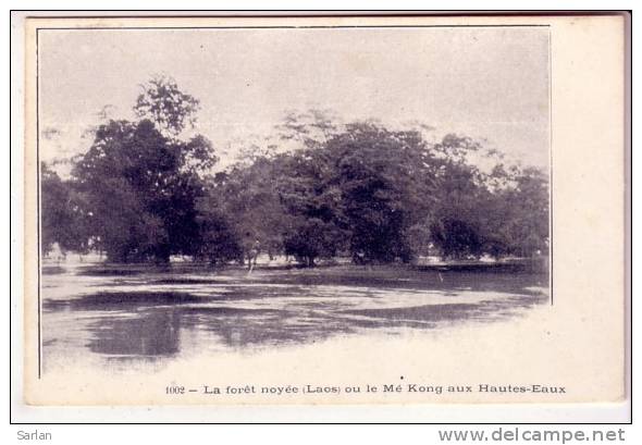 LAOS , N° 1002 , La Foret Noyée Ou Le Mé Kong Aux Hautes Eaux - Laos