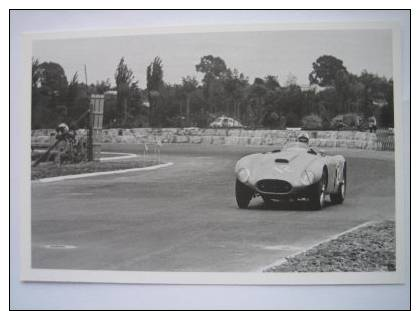 FERRARI   375 F1   ROSIER TRINTIGNANT  Gran Premio Argentina  Reproduction - Grand Prix / F1