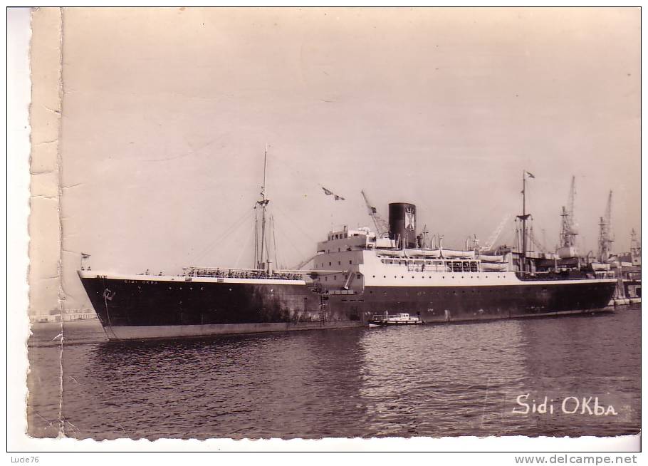 SIDI OKBA  -  SGTMV   -  Bâteau Traversée  France -  Afrique Du Nord - Cargos