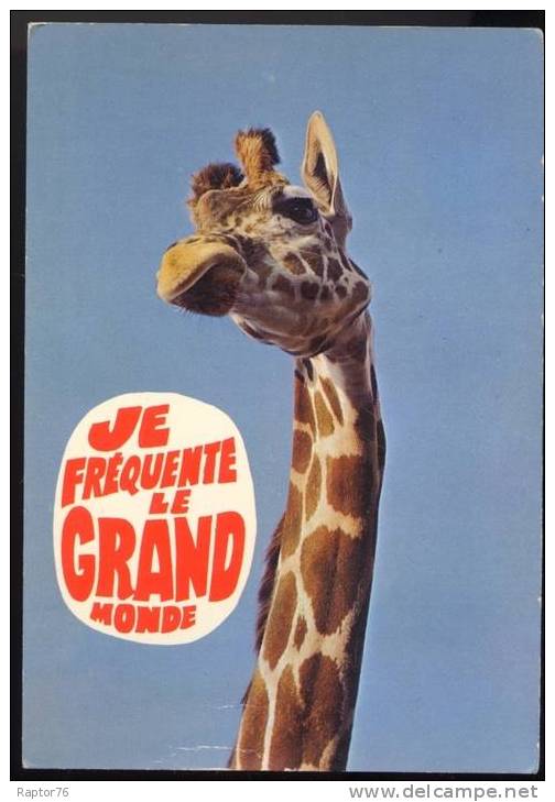 CPM  Humoristique Faune GIRAFE Je Fréquente Le Grand Monde - Girafes