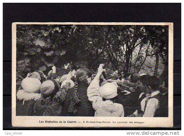 06 ST JEAN CAP FERRAT Cueillette Des Oranges, Orphelins De Guerre 1914-18, Ed ?, 192? - Saint-Jean-Cap-Ferrat