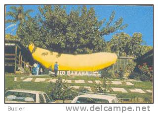 AUSTRALIA : 1978 : Post.Stat. : BANANA,The BIG BANANA, - Entiers Postaux