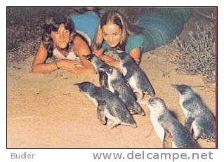 AUSTRALIA : 1978 : Post.Stat. : PENGUIN PARADE,FAUNA,PINGUIN,CHILDREN,GIRLS,COIFFURE, - Entiers Postaux