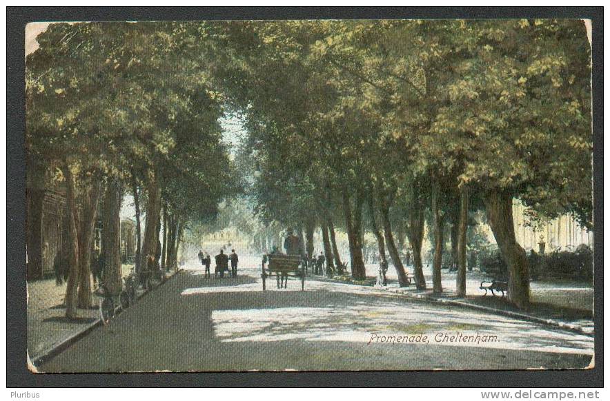 CHELTENHAM, PROMENADE, VINTAGE COLOUR POSTCARD - Cheltenham