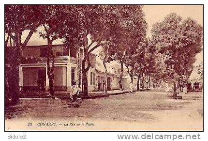 Conakry  La Rue De La Poste - French Guinea