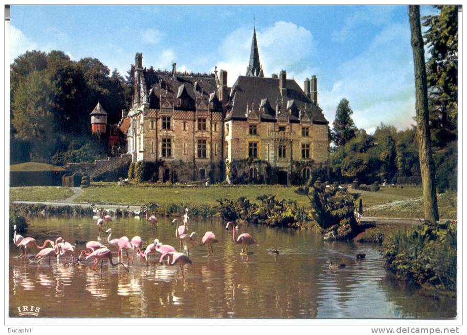 CLERES LE CHATEAU ET SES FLAMANTS ROSES - Clères