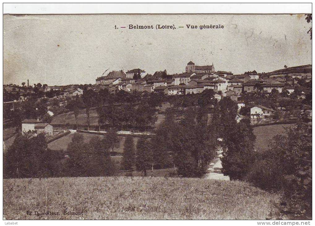 BELMONT VUE GENERALE - Belmont De La Loire