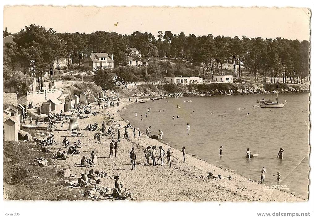 Cp 56 Morbihan Ile Aux Moines , La  Plage ( Baigneurs Bateau Cabine De Bain Villa Habitations Forêt ) - Ile Aux Moines