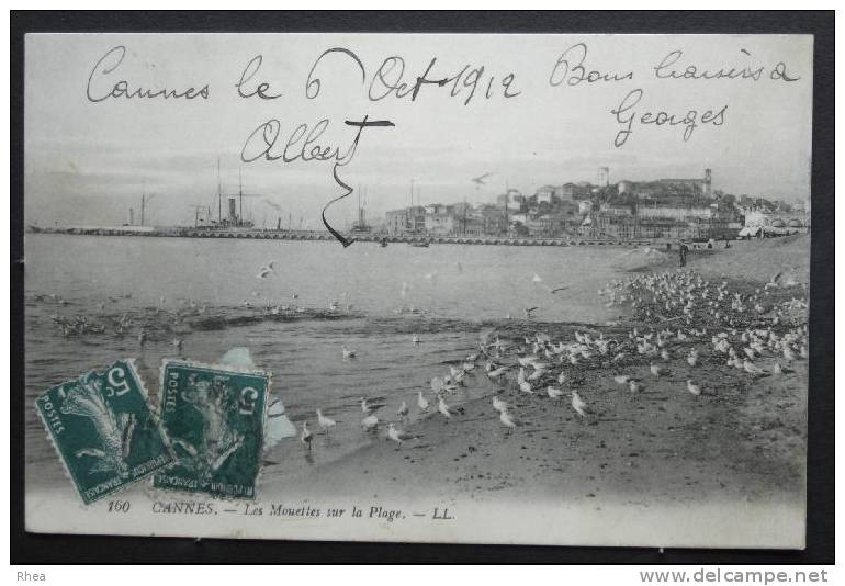 06 Cannes Plage Mouette D06D K06029K C06029C RH022240 - Cannes