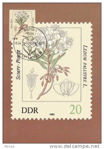 1232  -Allemagne 1982 - Maximum Cards