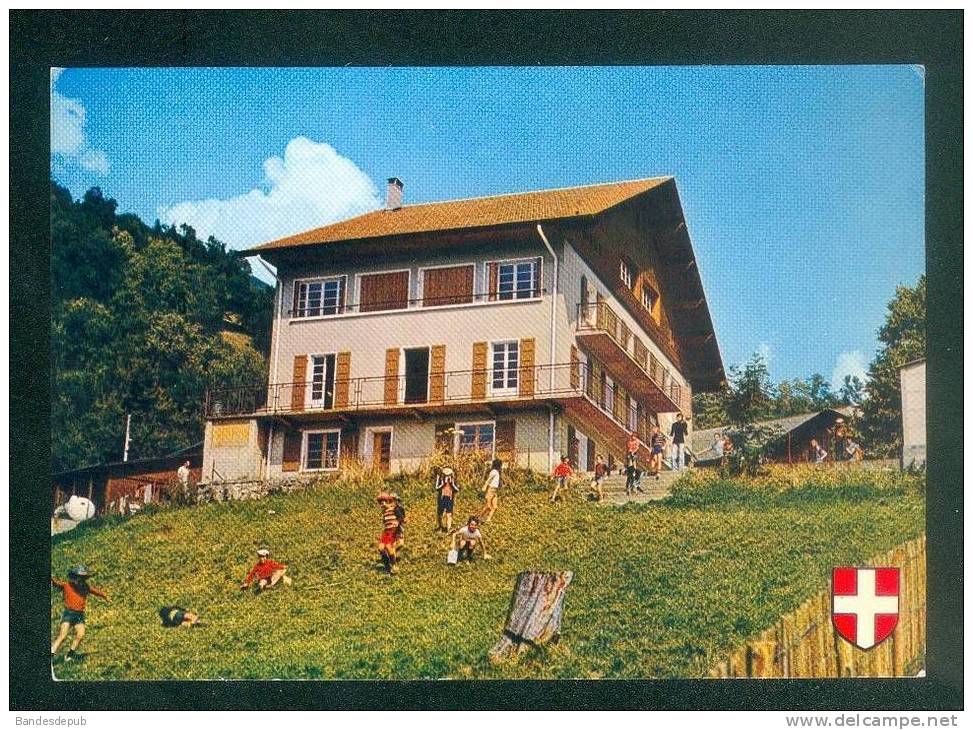 CPSM - Sixt ( Haute Savoie 74) - Le Fer à Cheval ( Animée Enfant Colonie De Vacances Photo J.P.  Vinial ) - Sixt-Fer-à-Cheval