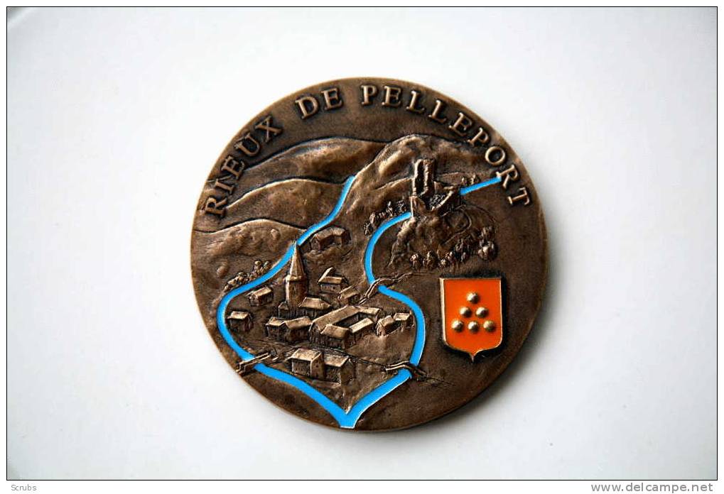 Médaille De Table: Rieu De Pelleport - Francia