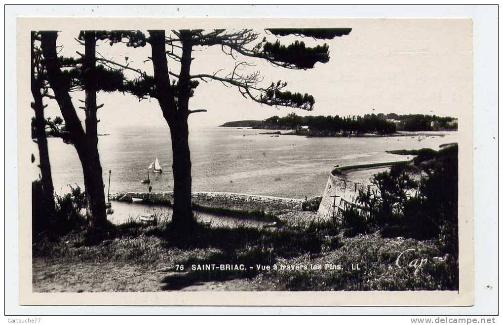 K11 - SAINT-BRIAC - Vue à Travers Les Pins - Saint-Briac