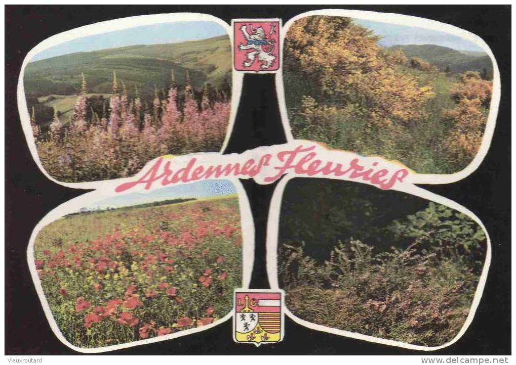 CPSM. ARDENNES FLEURIES. DATEE 1969. - Andere & Zonder Classificatie