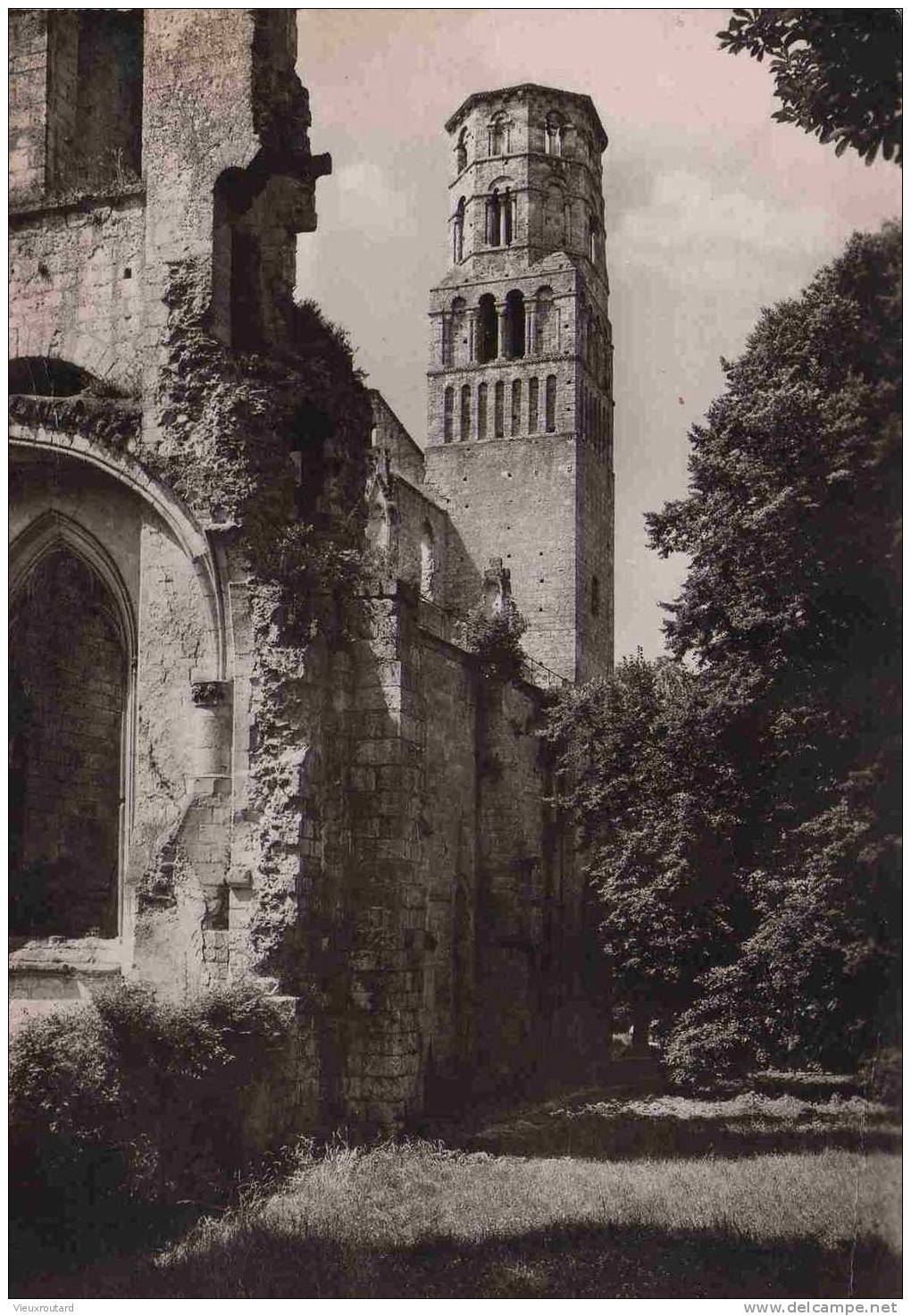 CPSM. JUMIEGES. RUINES DE L'ABBAYE. TOUR SUD DE L'EGLISE NOTRE DAME. VUE DE L'EST. - Jumieges