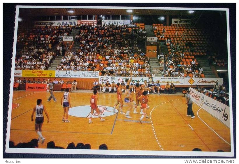 Sport,Basketball,Serbia,Vojvodina,Titov  Vrbas,postcard - Basketbal