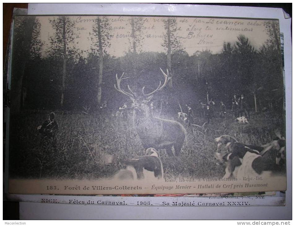 Foret De Villers Cotterets Equipage Menier Hallali De Cerf Pres Haramont  Chasse A Cour - Villers Cotterets