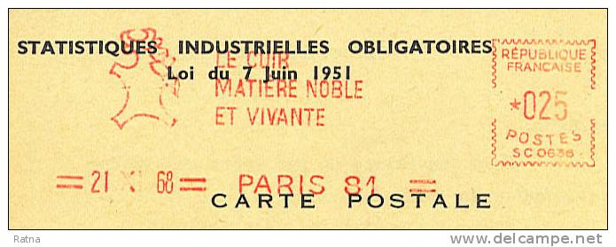 France : EMA /doc Cuir Vache Statistique Industrielles Obligatoires Leather - Textiles