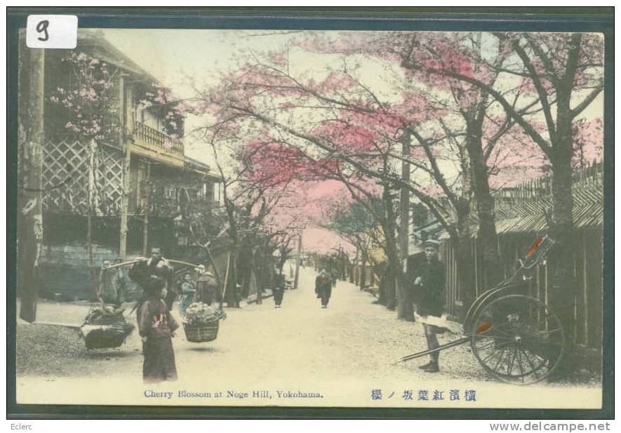 YOKOHAMA - CHERRY BLOSSOM AT NOGE HILL - TB  ( PETIT GRATTAGE AU DOS ) - Yokohama