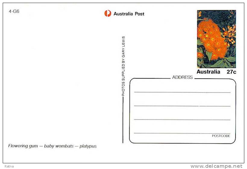 Australie : EP Ornithorynque Mammifere Monotreme Aquatique Platypus Wombats Flowering Gum Fleur - Chauve-souris