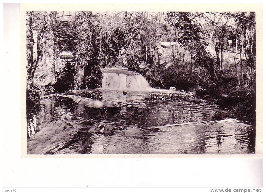 VERDELAIS - Cascade Dans Le Parc De La Source Du Lac - N°  28 - Verdelais