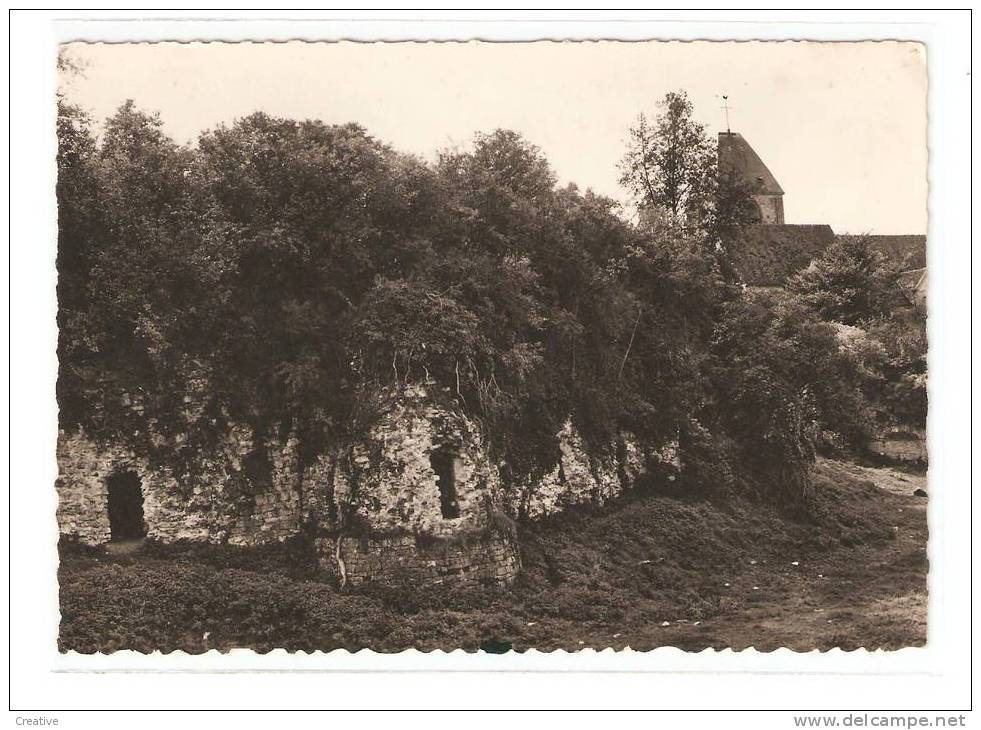 BEYNES.(Seine-et-Oise)Les Ruines Du Château Féodal - Beynes