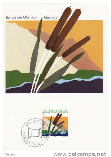 4276  -  Liechtenstein 1983 - Maximumkaarten
