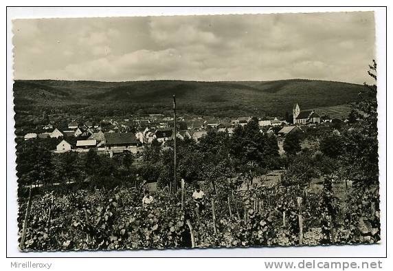 CPM  ORSCHWIHR VUE GENERALE - Guebwiller