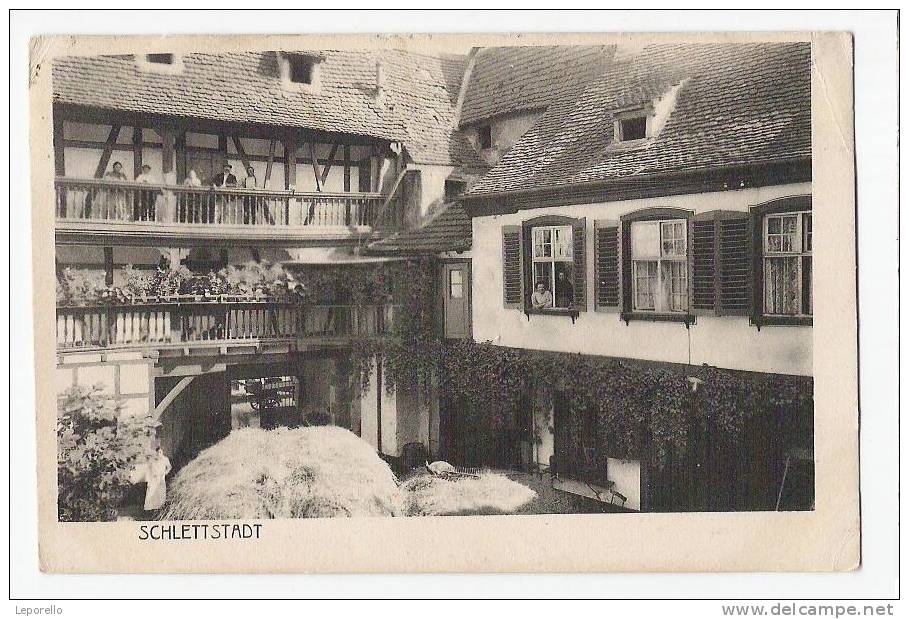 AK  SCHLETTSTADT   E*5145 - Elsass