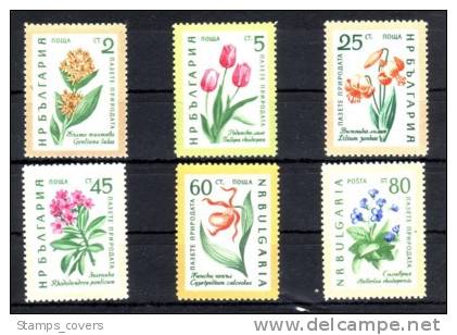 BULGARIA MNH** MICHEL 1164/69 €7.00 FLOWERS - Unused Stamps