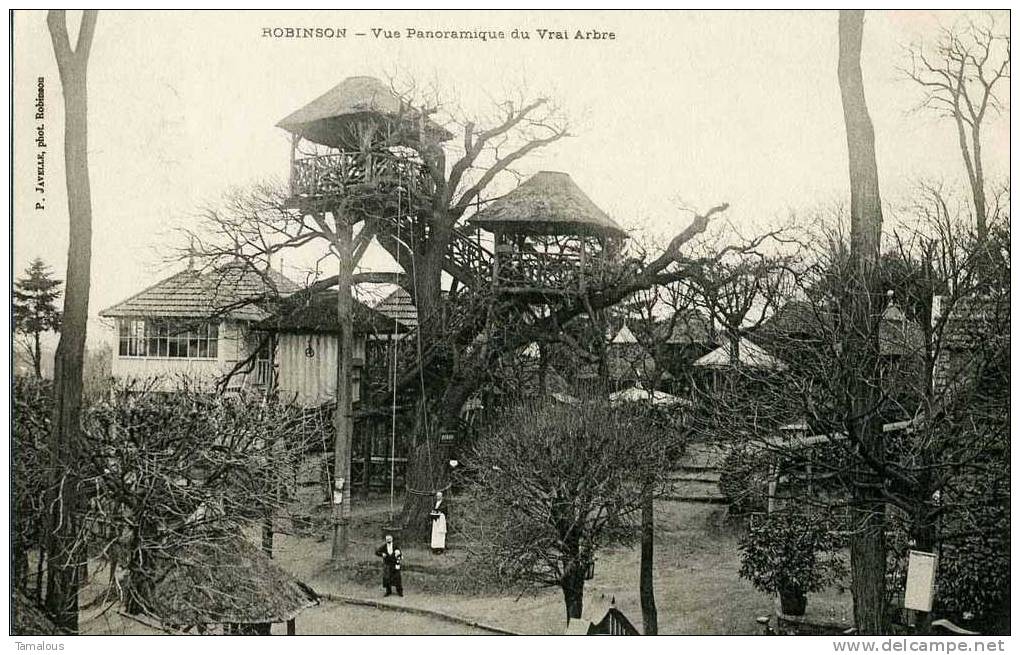 92 - HAUTS De SEINE - ROBINSON - Vue Panoramique Du VRAI ARBRE - Arbre Nommé - - Le Plessis Robinson